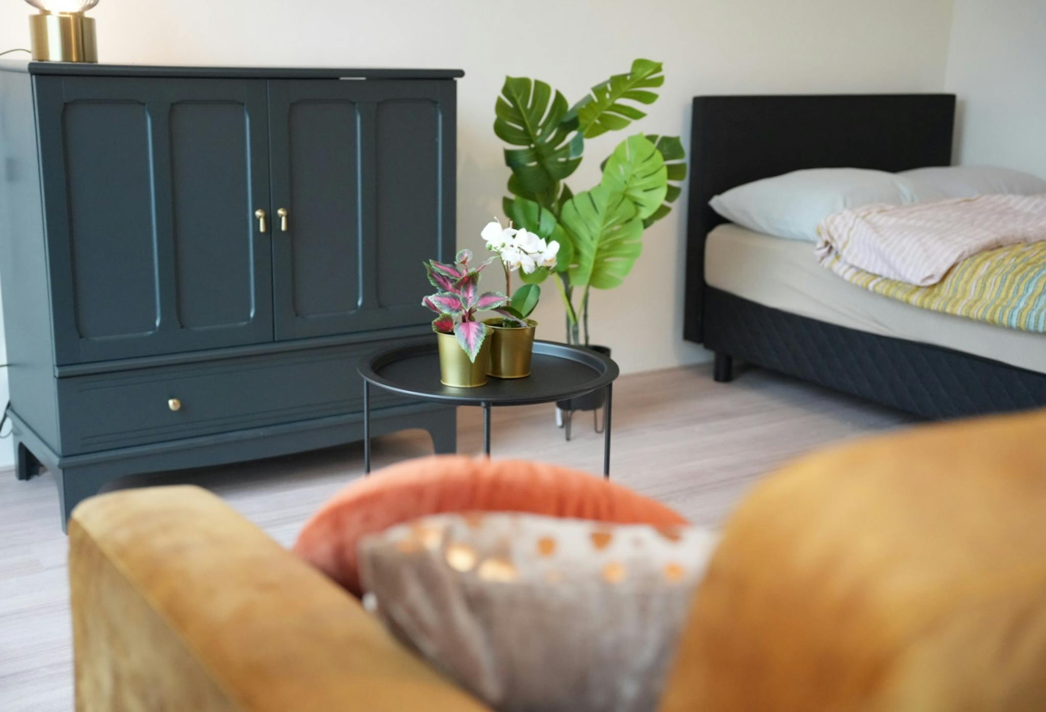 Den Hertigstraat, Rotterdam preview