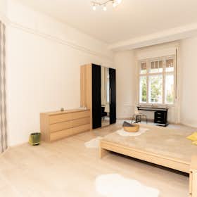 Private room for rent for HUF 161,602 per month in Budapest, Nefelejcs utca