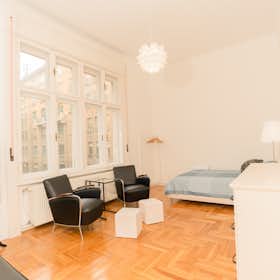Private room for rent for HUF 157,660 per month in Budapest, Balzac utca