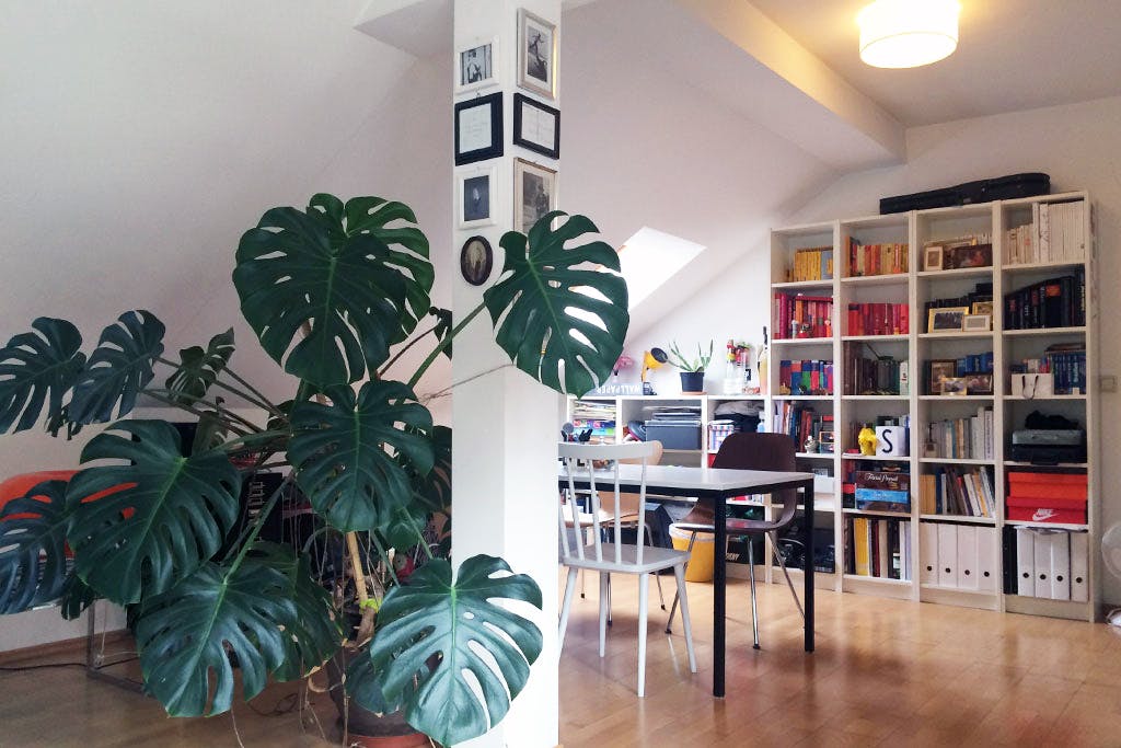 Schubertgasse, Vienna preview