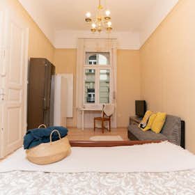Private room for rent for €380 per month in Budapest, Kazinczy utca