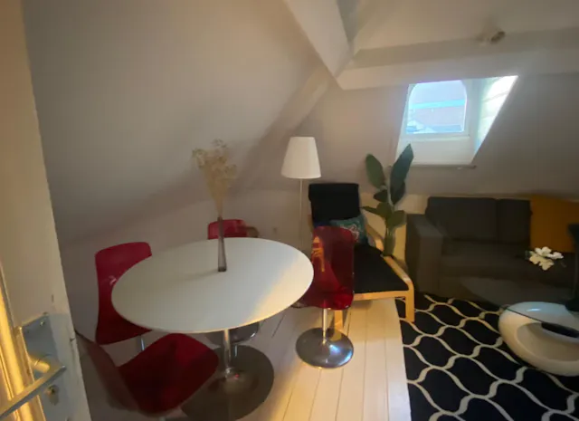 Private room in Rue du Beau Site, Brussels (1246618) room image 70