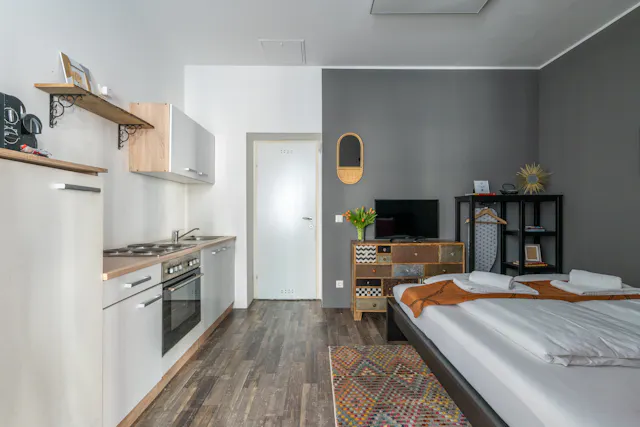 Apartment in Adamsgasse, Vienna (1247890) room image 2