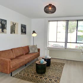 Wohnung zu mieten für 3.250 € pro Monat in Amsterdam, Graafschapstraat