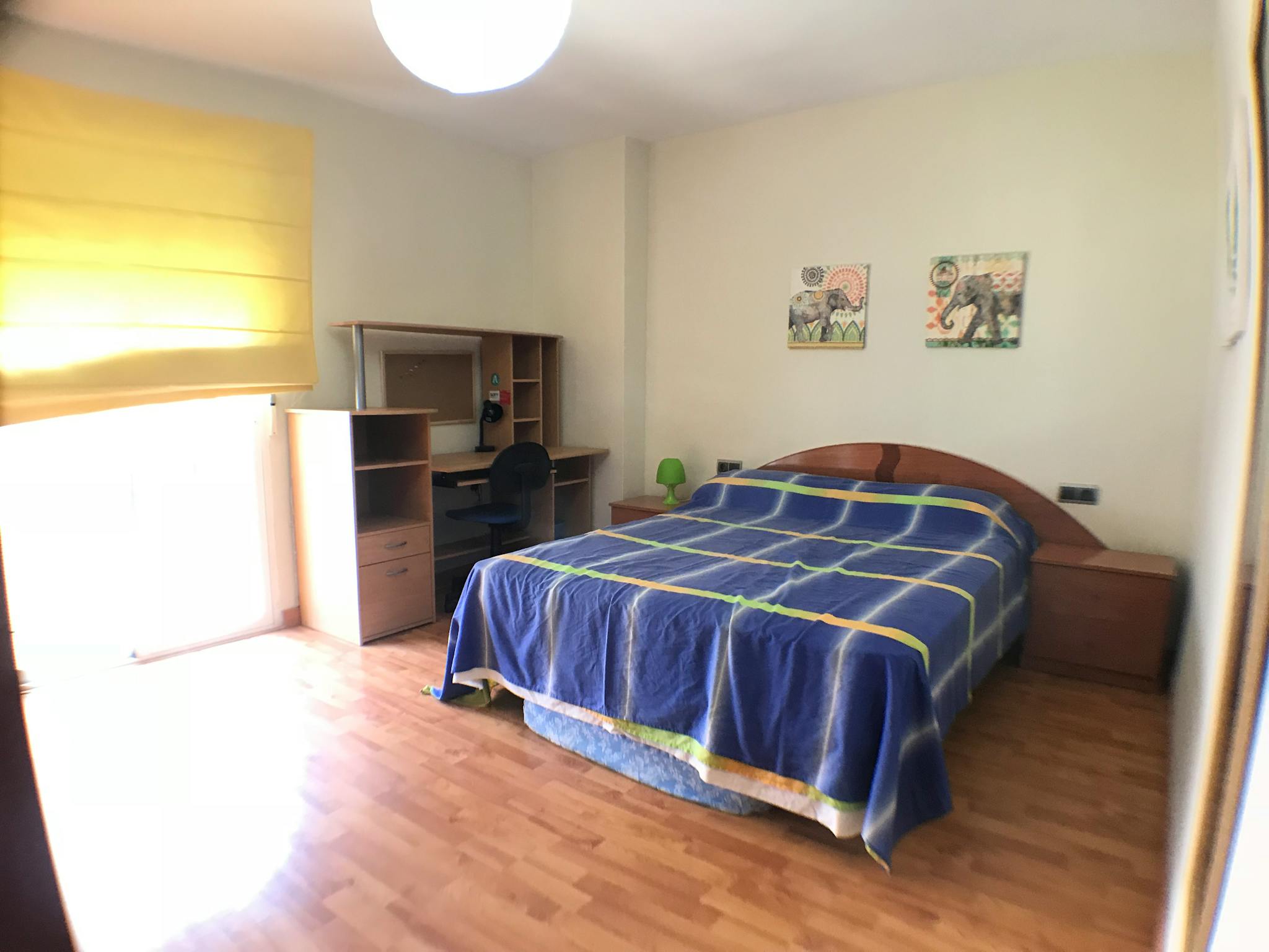 Calle Rosalía de Castro, Granada preview