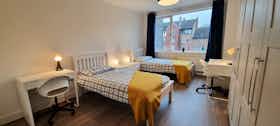 共用房间 正在以 €790 的月租出租，其位于 Dublin, Phibsborough Road