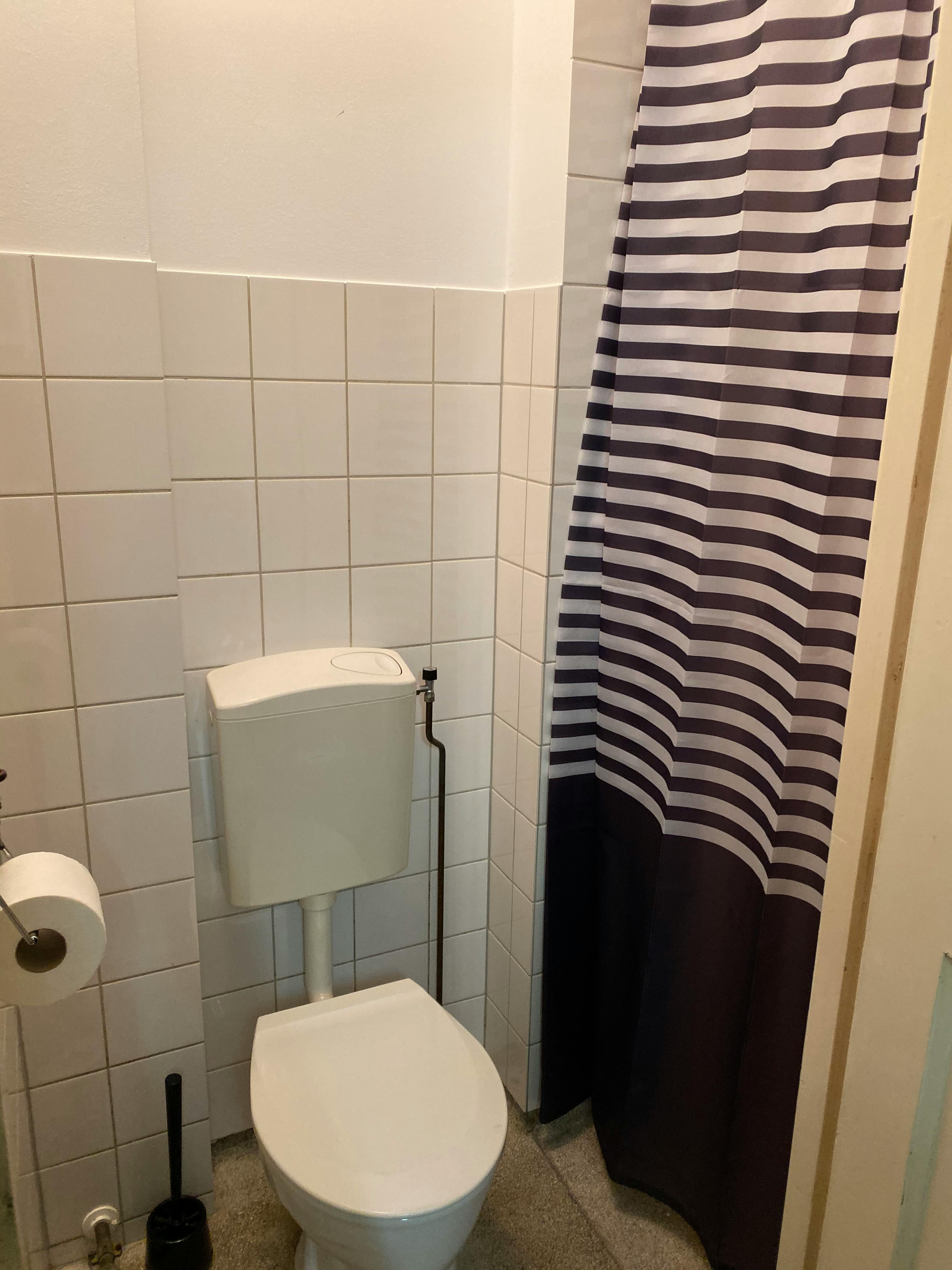 Private room in Dordtselaan, Rotterdam (1255427) ROOM 2