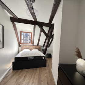 Lägenhet att hyra för 1 700 € i månaden i Strasbourg, Rue des Moulins
