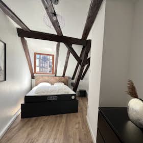Apartament de închiriat pentru 1.700 EUR pe lună în Strasbourg, Rue des Moulins