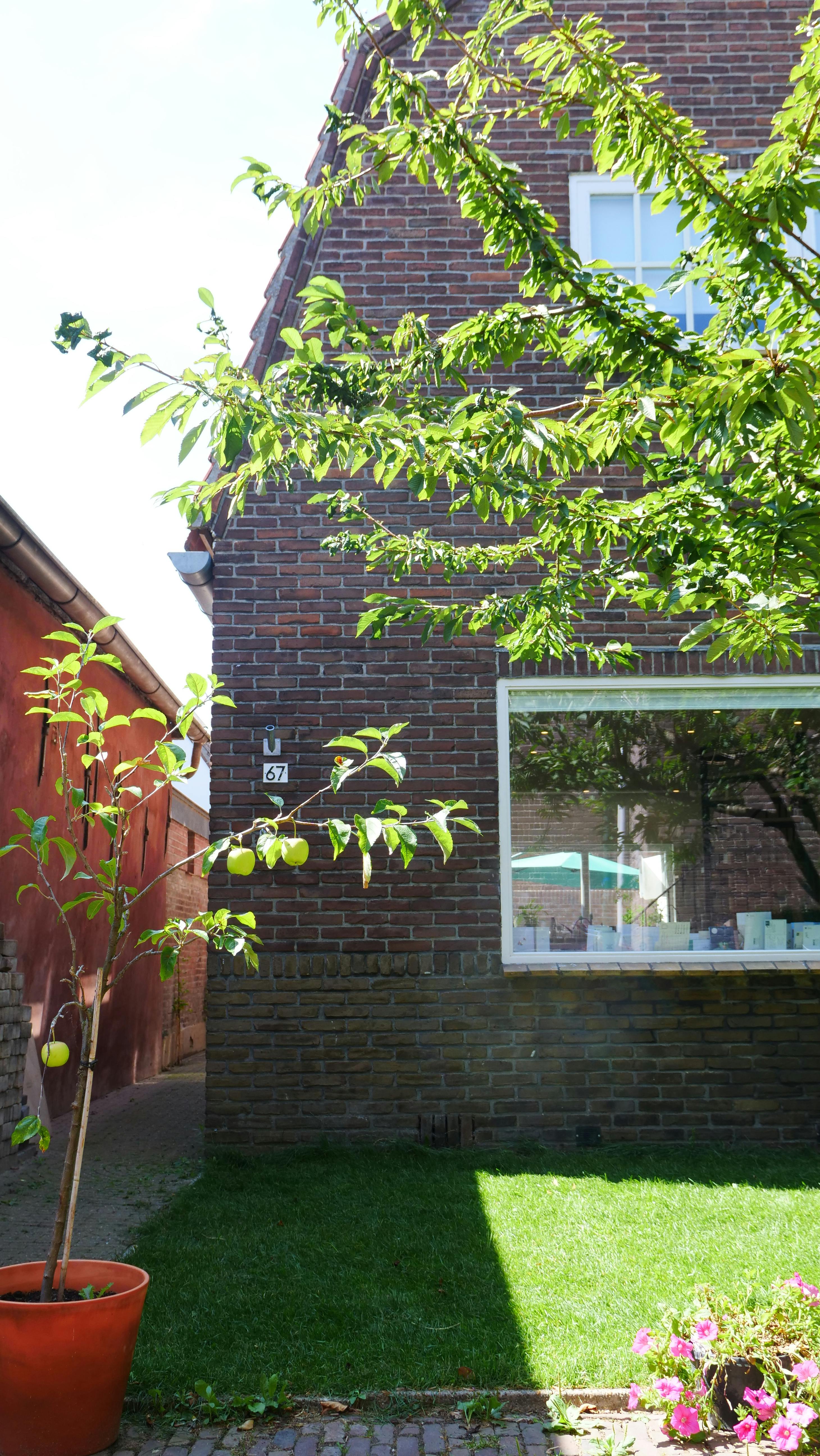 Apartment Muiden, 2 beds — photo 1
