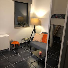 Studio for rent for €1,400 per month in Brussels, Maagdenstraat