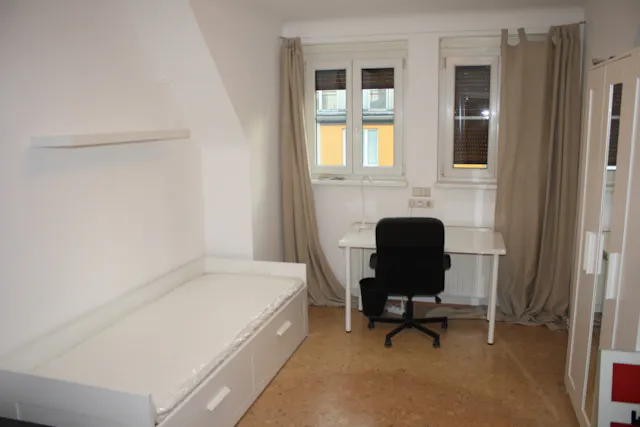 Private room in Weisselgasse, Vienna (1263885) room image 1