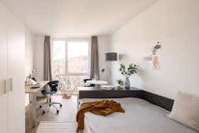 单间公寓 正在以 €882 的月租出租，其位于 Aachen, Kasernenstraße