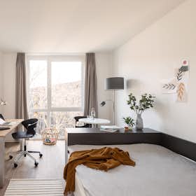 Studio for rent for €882 per month in Aachen, Kasernenstraße