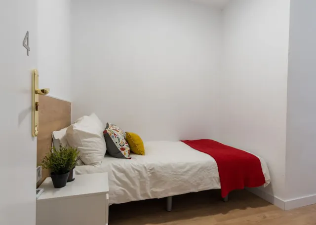 Private room in Calle de Martín de los Heros, Madrid (1269718) room image 1