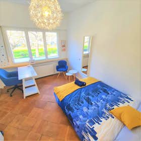 Privé kamer for rent for € 870 per month in Bonn, Poppelsdorfer Allee