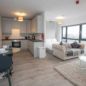 单间公寓 正在以 €3,280 的月租出租，其位于 Dublin, Pearse Street