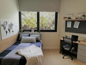 Studio for rent for €500 per month in Granada, Calle Profesor Clavera