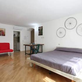 Studio for rent for €111 per month in Florence, Viale Giovanni Milton