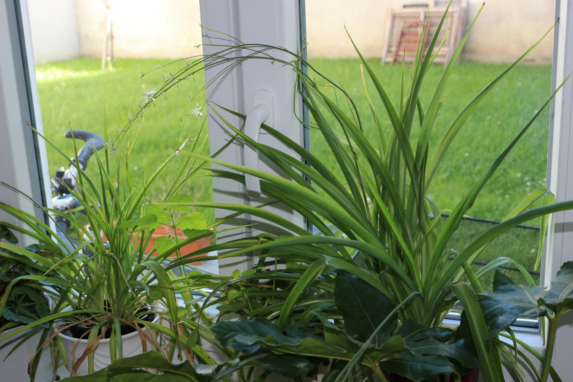 Appartamento in affitto a 750 € al mese a Vienna, Lacknergasse