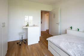 私人房间 正在以 €650 的月租出租，其位于 Aachen, Süsterfeldstraße
