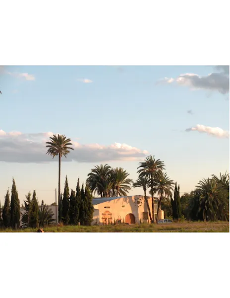 CV-853, Elche