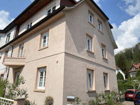 Wohnung zu mieten für 1.800 € pro Monat in Weinheim, Scheffelstraße