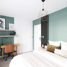 Private room for rent for €505 per month in Schiltigheim, Rue des Trois Maires