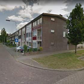 Habitación privada en alquiler por 495 € al mes en Arnhem, De Houtmanstraat