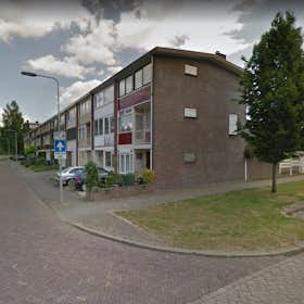 Quarto privado para alugar por € 495 por mês em Arnhem, De Houtmanstraat