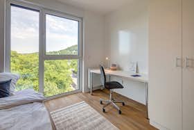 Отдельная комната сдается в аренду за 710 € в месяц в Aachen, Süsterfeldstraße