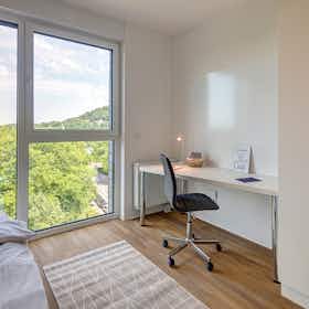 Privé kamer te huur voor € 710 per maand in Aachen, Süsterfeldstraße