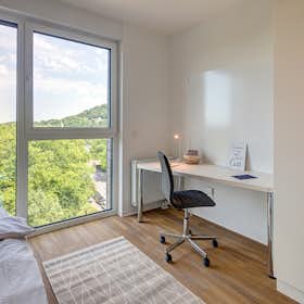 WG-Zimmer for rent for 710 € per month in Aachen, Süsterfeldstraße