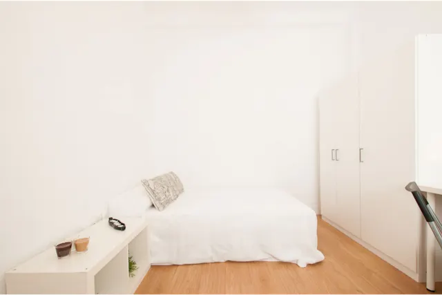Private room in Calle de Jorge Juan, Madrid (1284827) room image 2
