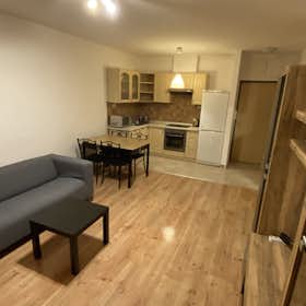 Apartment for rent for €650 per month in Budapest, Bodor utca