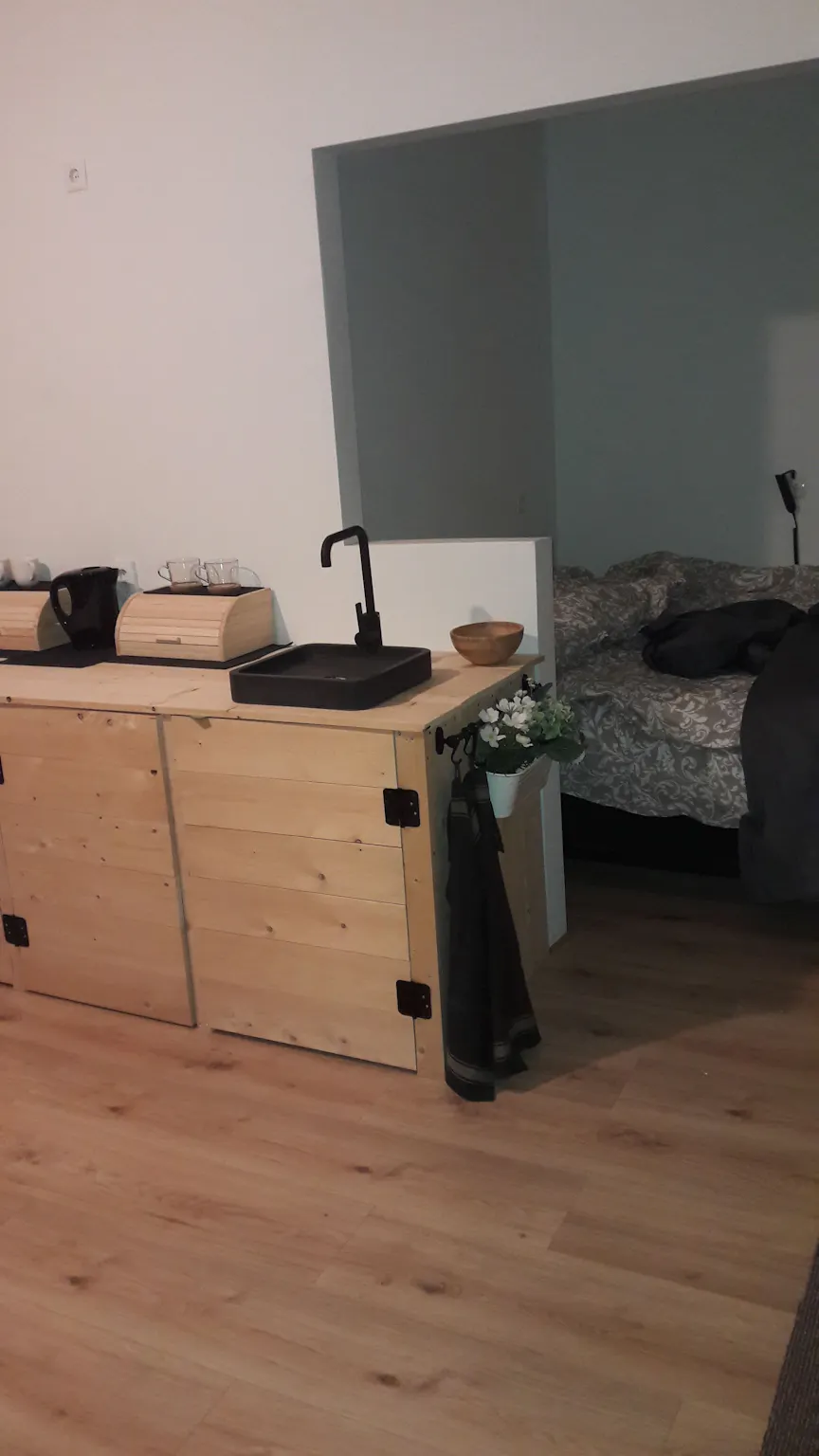 Apartment in Weissenbruchstraat, The Hague (1289769) ROOM 1