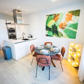 House for rent for €4,500 per month in Rotterdam, Schiedamsesingel