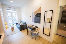 Appartamento in affitto a 3.000 € al mese a Rotterdam, Schiedamsesingel