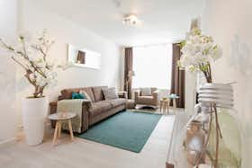 Apartment for rent for €2,995 per month in Utrecht, Lange Smeestraat