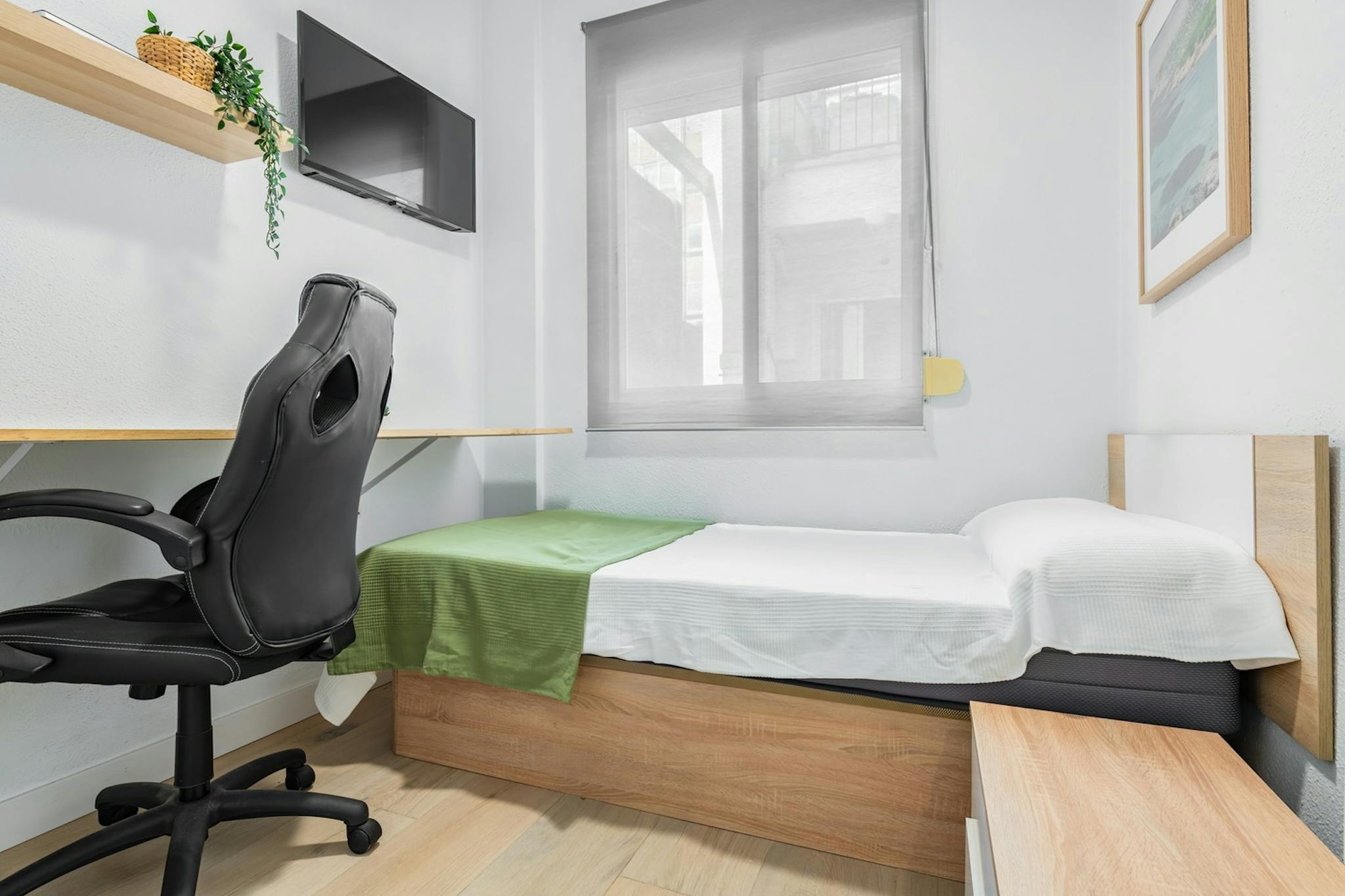 Plaza Pescadería, Castelló de la Plana preview