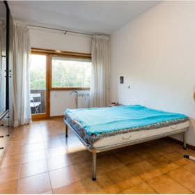 Private room for rent for €790 per month in Rome, Via Tiberio Imperatore