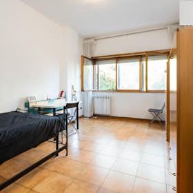 Private room for rent for €750 per month in Rome, Via Tiberio Imperatore
