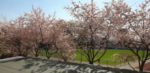 House for rent on Roßstraße, Düsseldorf, Düsseldorf