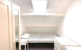Private room for rent for €470 per month in Rome, Via di Carcaricola