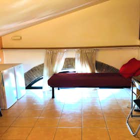 Shared room for rent for €380 per month in Rome, Via Alessandro Brisse