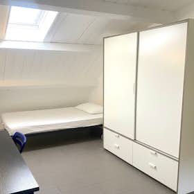 Private room for rent for €505 per month in Rome, Via di Carcaricola
