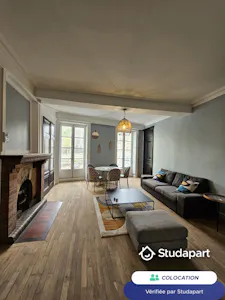 Apartment in Lyon, 9th Arrondissement