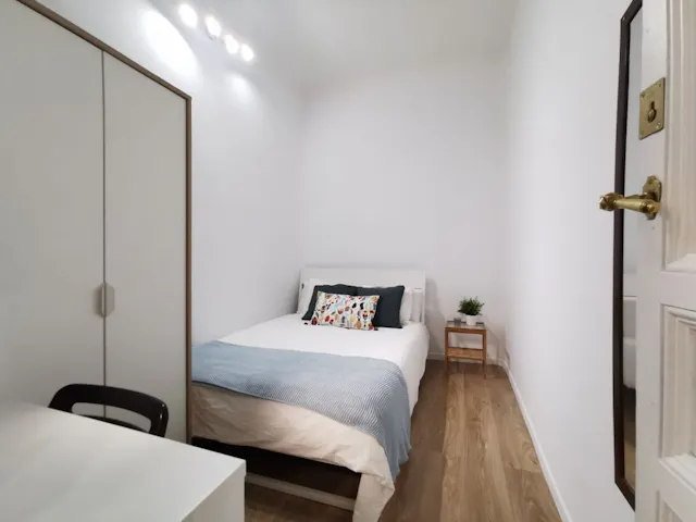 Private room in Calle de Preciados, Madrid (1333191) room image 1