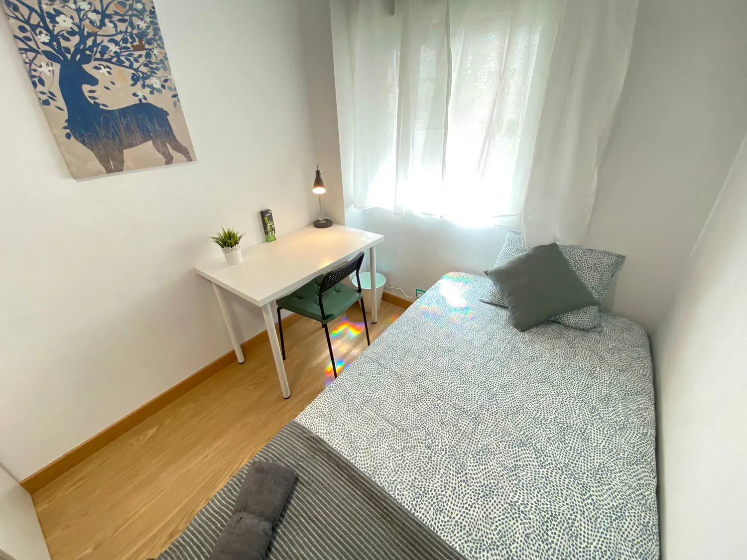 Private room in Calle Manuel Pavía, Madrid (1337394) ROOM 4
