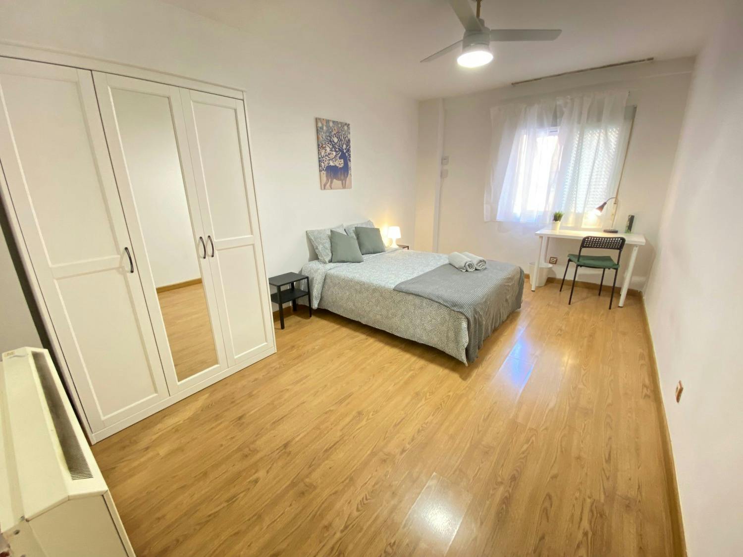 Calle Manuel Pavía, Madrid preview